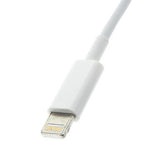 8Pin Maleto 30-Pin Female Adapter Cable