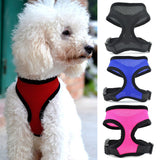 Fashion High Quality Mesh Dog Harness Puppy Comfort Harness