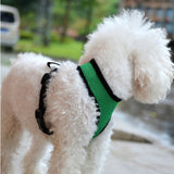 Fashion High Quality Mesh Dog Harness Puppy Comfort Harness