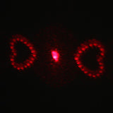 4 in 1 Red Laser LED Keychain - Silver