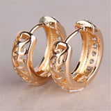 Gold Rose/White/Platinum Plated Earring for Women Round White Crystal Cubic Zirconia Hoop Huggies Earrings for Women 