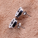 Fashion earrings 316L Stainless Steel Earring Crystal Stud Earrings For Women Joyas Brincos Bijoux Jewelry