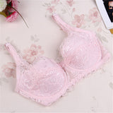 Fashion Women Sexy Underwear Bra Push Up Padded Lace Sheer Bra 32-40B