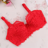 Fashion Women Sexy Underwear Bra Push Up Padded Lace Sheer Bra 32-40B 