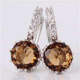 Fashion Piercing Ear Circle Earing Jewelry White Gold Plated Zirconia CZ Crystal Wedding Hoop Earrings for Women 