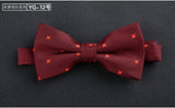 Formal commercial bow tie butterfly cravat bowtie male marriage bow ties for men Formal business lote