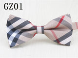 High Quality Mens Silk Bow Ties Formal Commercial Wedding Party Tuxedo Classic Butterfly Bowtie Tie 18 Color Men Bow Tie