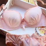 New sexy lingerie,Brand women underwear bra sets,Lace Embroidery ,lingerie set,bra brief sets,Intimates,underclothes,brief set
