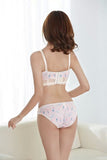 New women brand bra fashion winter dress bra set vs sexy underwear lace sexy women bra set gathered push up bra brief set