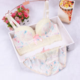 New women brand bra fashion winter dress bra set vs sexy underwear lace sexy women bra set gathered push up bra brief set