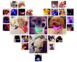 Adjustable Pet Dog Flashing LED Lights Safety Nylon Night Glow Collar