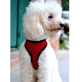 Fashion High Quality Mesh Dog Harness Puppy Comfort Harness