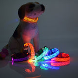 Pet Dog Leopard Nylon Safety LED Collar Colorful Flash Light Neck