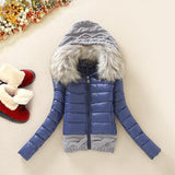Winter Thickening With a Hood Short Design Wadded Jacket Large Fur Collar Down Jacket Cotton-Padded Fur Collar