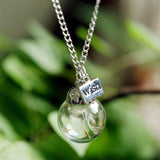 Wish bottle Necklace Real Dandelion Seeds Water Drop Bottle Botanical Pendant Necklace For Women 