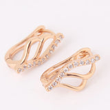 Fashion Hoop Earing for Women Jewelry 18K Gold Platinum Plated Earrings White Stones Crystal Cubic Zirconia Earrings 