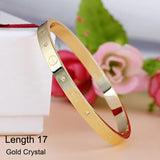 Luxury Stainless Steel Cuff Bracelets&Bangles Top Gold Plated Brand CZ Crystal Buckle Love Charm Bracelet For Women Jewelry