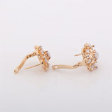 Newest Exquisite Flower Hoop Earing Fashion Jewelry AAA Zirconia Stones Earrings for Women Valentine's Day Gift 