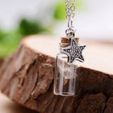 Real Plants Glass Floating Lockets Necklaces Dandelions Chain of Seeds FREE Pendant Necklace for Women Mori Girl's Wish Locket