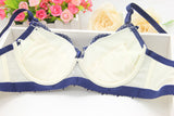 women Brand bra set,scalewing Lace Embroidery brassiere,sexy young girl bras,sexy push up lingerie,underclothes